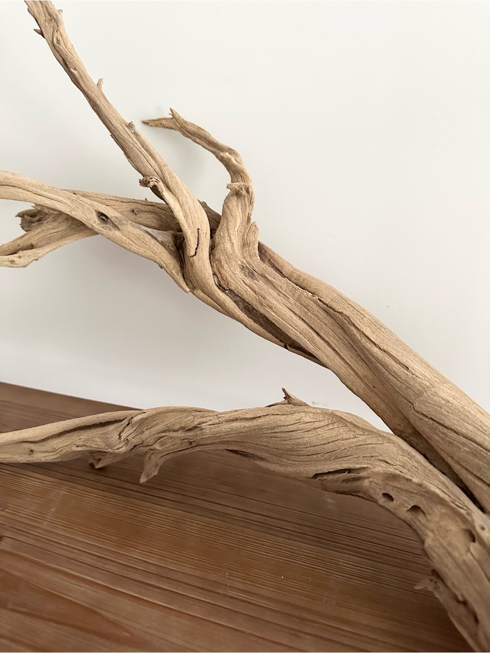 Large Natural Driftwood Branch - Coastal Beach Decor - Picture 4 of 17